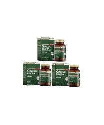 Nutraxin Ginkgo Biloba 120 Mg 60 Tablet x 3 Adet - Nutraxin