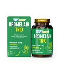 Wellcare Bromelain Trio 60 Tablet
