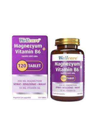 Wellcare Magnesium Vitamin B6 120 Tablet