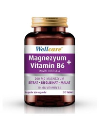 En uygun fiyatlarla Wellcare Magnezyum + Vitamin B6 30 Tablet