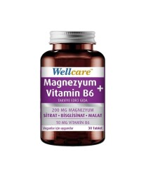 En uygun fiyatlarla Wellcare Magnezyum Vitamin B6 90 Tablet